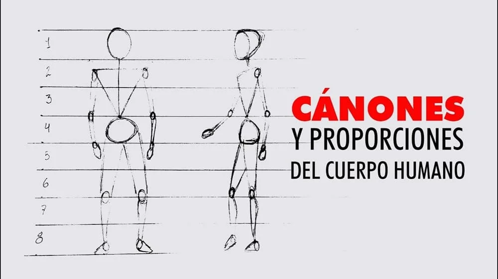 Canon del Cuerpo Humano